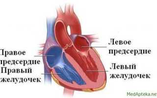 Неравномерное сердцебиение причины лечение