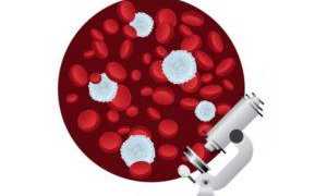 Снижение лейкоцитов в крови у ребенка причины