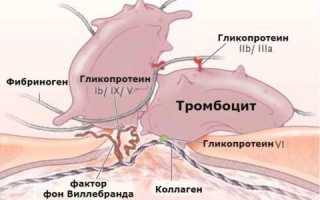 Адгезия и агрегация тромбоцитов
